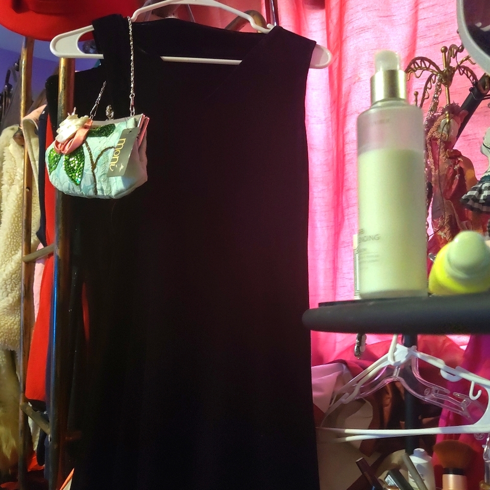 Vevelt black dress with new purse
